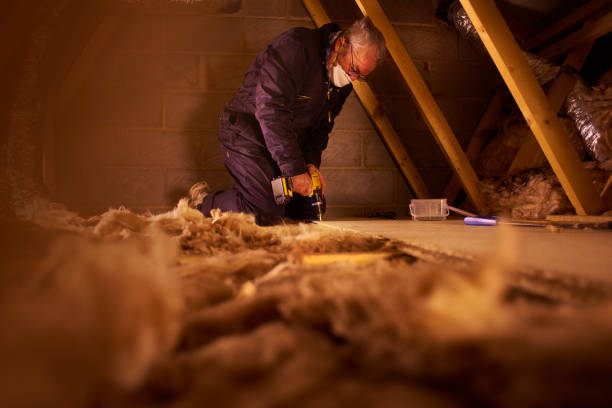 Best Home Insulation Services  in Thorndale, TX
