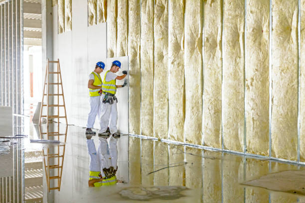 Best Cellulose Insulation  in Thorndale, TX
